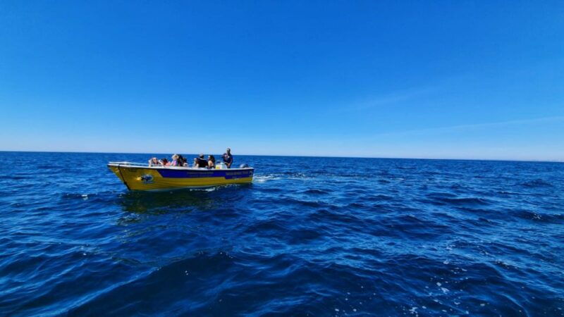 From Benagil: Benagil Cave & Marinha Beach Express Tour - Good To Know