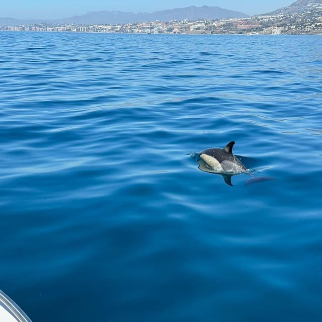 From Benalmadena: Boat Rental With No License Required - Itinerary and Location