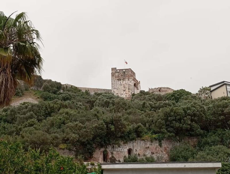 From Benalmadena: Gibraltar Day Trip - FAQ