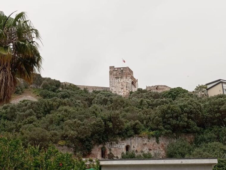 From Benalmadena: Gibraltar Day Trip - Virtual Assistance