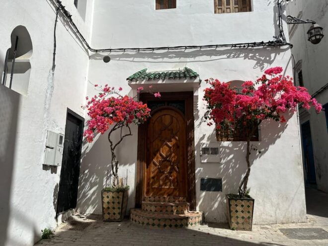 From Benalmadena: Private Day Tour to Tangier - Inclusions and Accessibility