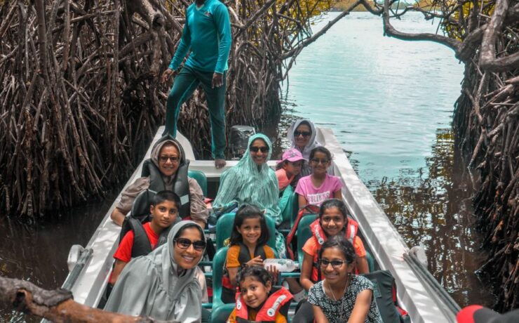 From Bentota: Balapitiya, Handunugoda and Galle Guided Tour - Tour Highlights and Inclusions