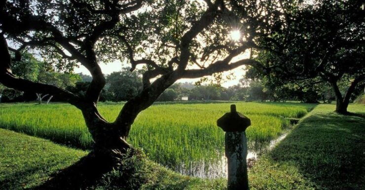 From Bentota/Beruwala: Lunuganga & Brief Garden Marvels Tour - Tour Highlights