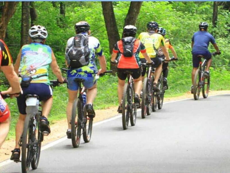 From Bentota/ Beruwala: Scenic Countryside Cycling Adventure - Practical Details & Tips