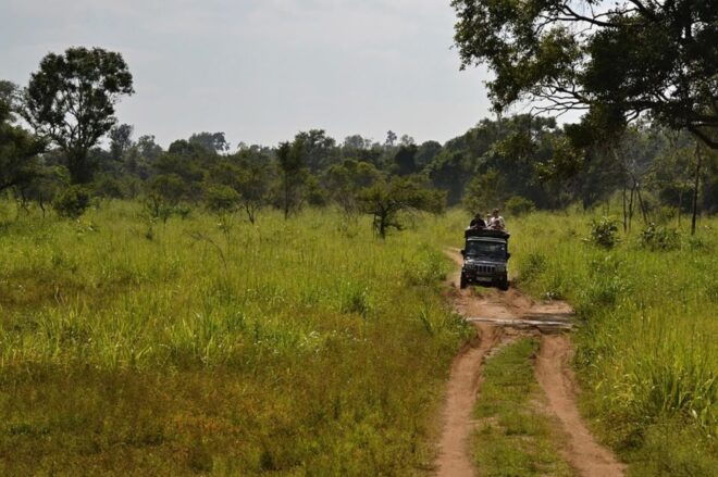 From Bentota: Elephant Transit Camp and Udawalawe Safari - Udawalawe National Park: A Wildlife Lovers Paradise
