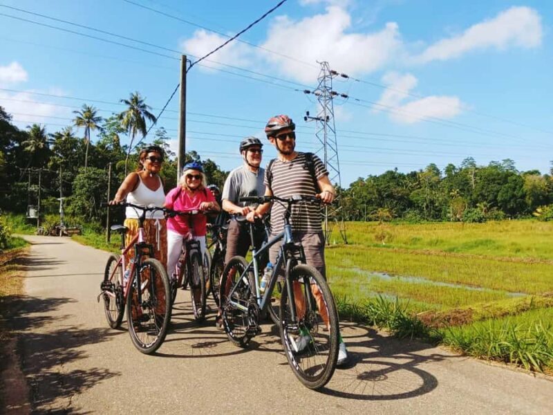 From Bentota/Kalutara:Countryside Cycling Adventure in Galle - Continuing the Adventure