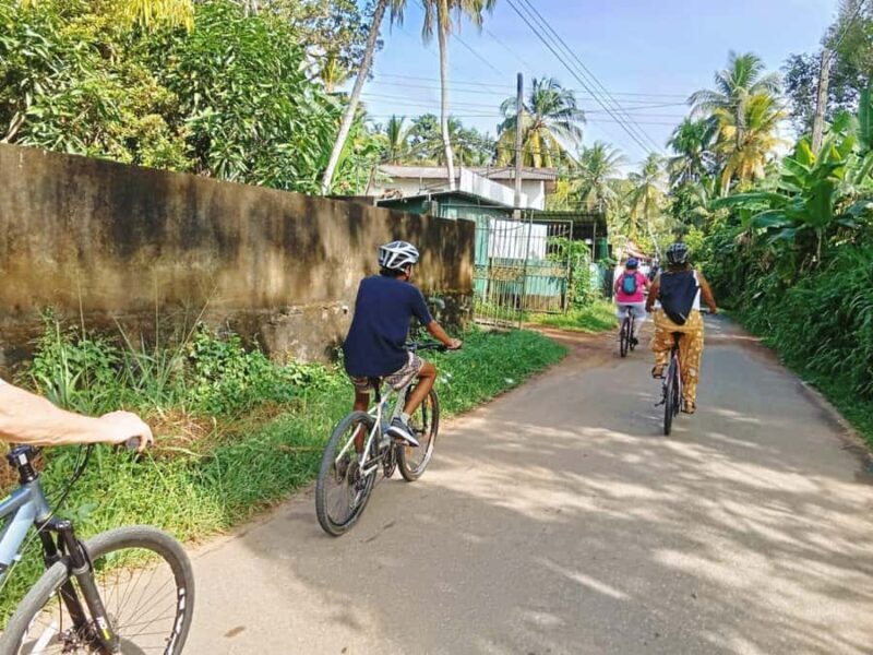 From Bentota/Kalutara:Countryside Cycling Adventure in Galle - Return and Drop-off
