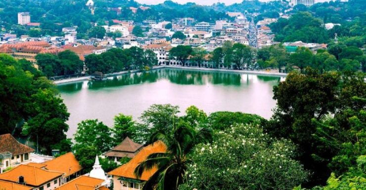 From Bentota: Kandy Tour With Tooth Temple & Gardens Visit - Inclusions and Services Offered