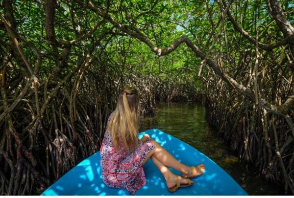 From Bentota: Madu River Safari & Turtle Hatchery Visit - Cancellation Policy and Refunds