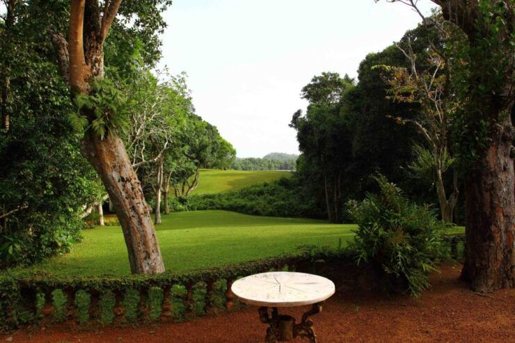 From Bentota or Beruwala: Geoffrey Bawa Country Estate Tour - Experience Highlights