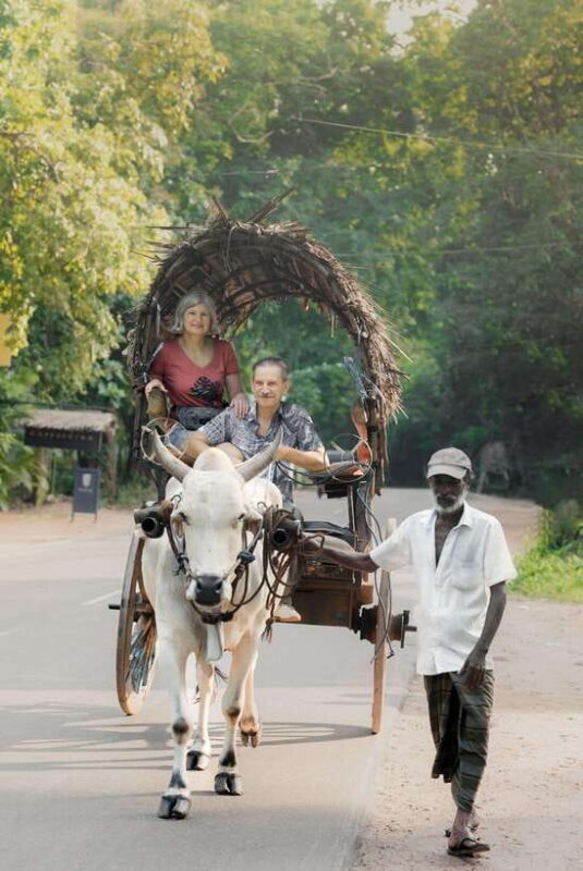 From Bentota: Sigiriya and Dambulla Day Trip and Safari - Optional Wildlife Safari: A Wild Card