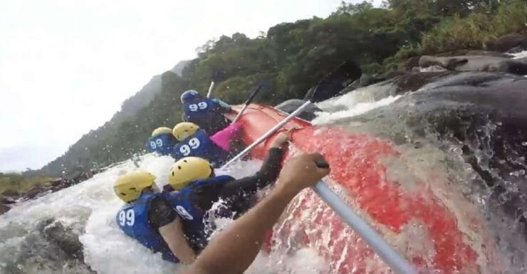 From Bentota: Wonders of Hill Country Exploration Tour - Experience Highlights
