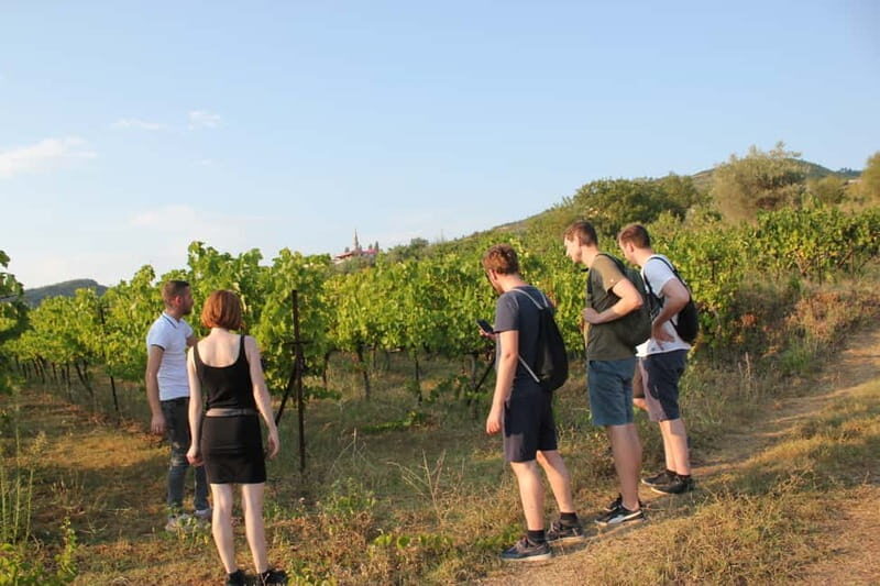 From Berat: Guided Winery Tour with Transfers and Tastings - Frequently Asked Questions