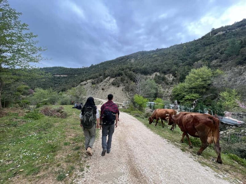 From Berat: Osumi Canyon, Bogova Waterfall, and Pirro Goshi - Review of the Berat: Osumi Canyon, Bogova Waterfall, and Pirro Goshi Tour