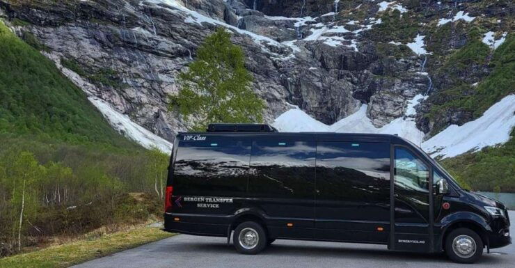 From Bergen: Private Transfer to Gudvangen - Booking and Flexibility