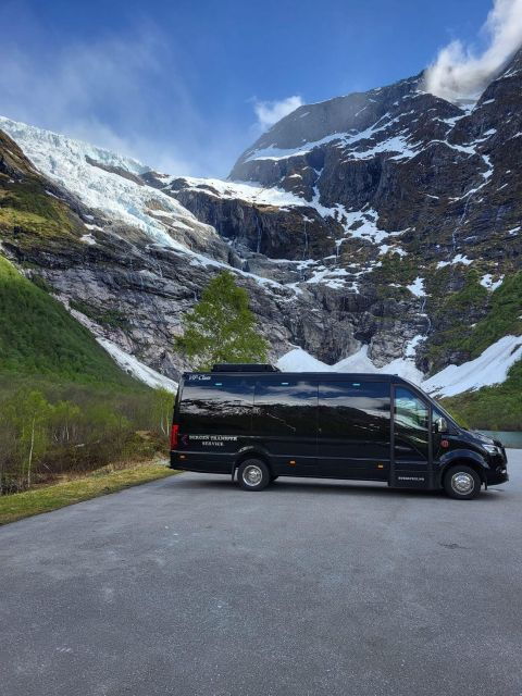 From Bergen: Private Transfer to Voss - Driver and Vehicle Information