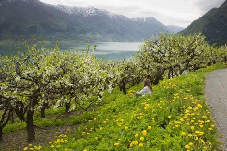 From Bergen: Private Trip to Hardangerfjord - Activity Details