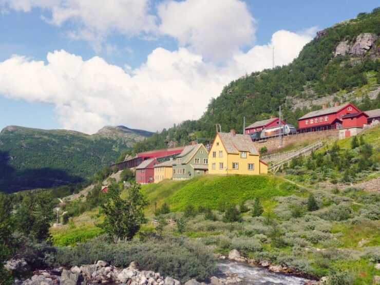 From Bergen: Self-Guided Sognefjord Trip - Activity Details