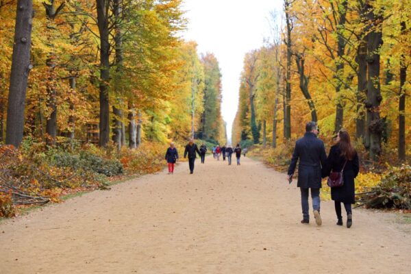 From Berlin: Historical Gems of Potsdam Private Day Trip - Additional Details