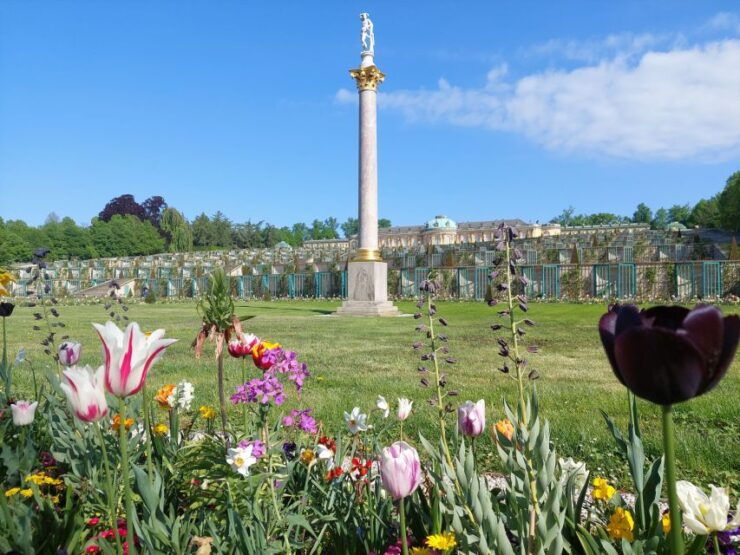From Berlin: Potsdam Half-Day Guided Tour - Activity Details
