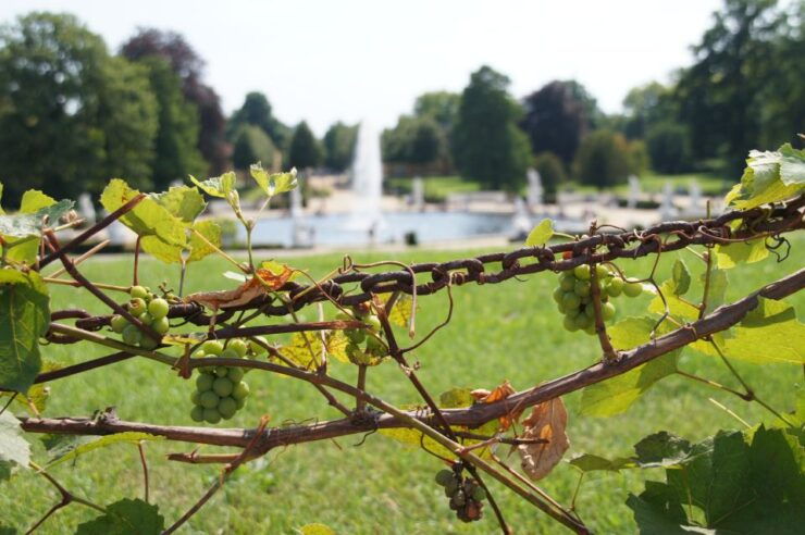 From Berlin: Potsdam Half-Day Tour in Spanish - Activity Details