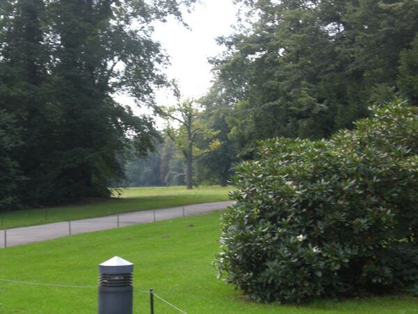 From Berlin: Private Guided Day Trip to Dresden - The Sum Up