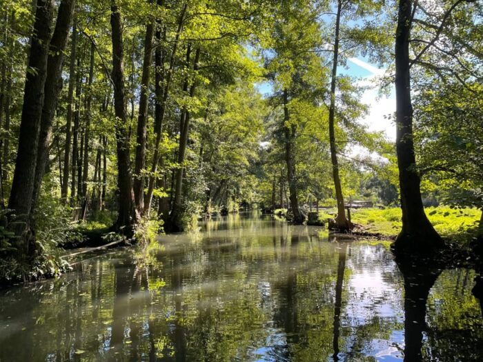 From Berlin to the Fairy-Tale Forest of the Spree River - FAQ
