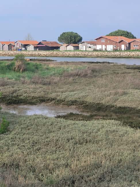 From Biarritz: Dune du Pilat and Arcachon Bay - 100% Private - FAQ