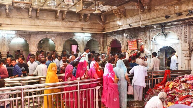 From Bikaner: Rat Temple Tour with Drop-off at Jodhpur - Practical Tips for Travelers