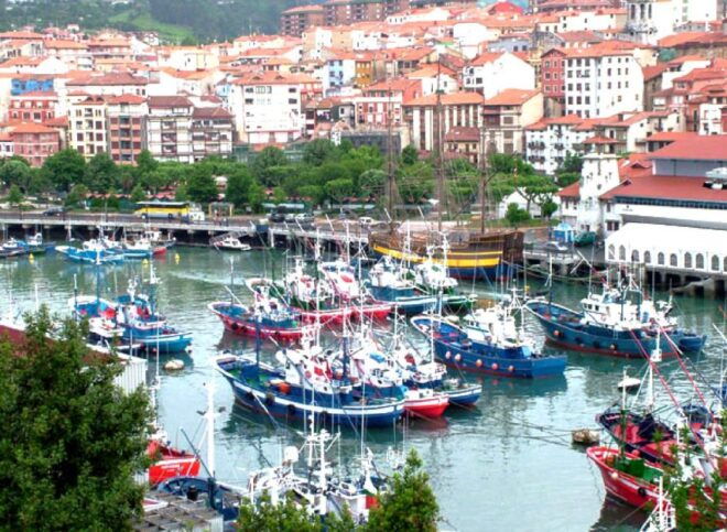 From Bilbao: Gaztelugatxe, Bermeo and Gernika Day Trip - Important Information