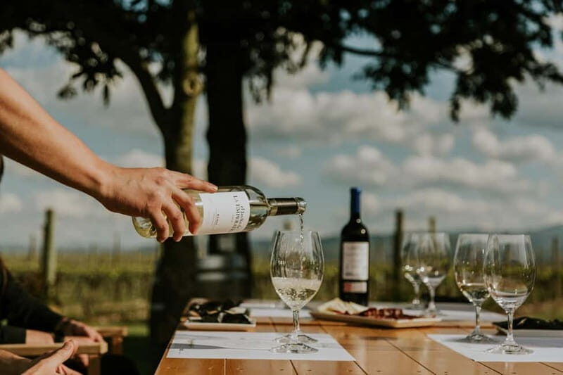 From Bilbao: La Rioja a journey to the vineyards & tradition - Good To Know