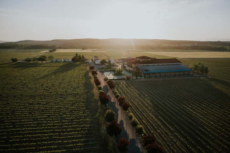 From Bilbao: La Rioja a journey to the vineyards & tradition - The Journey Begins: From Bilbao to La Rioja