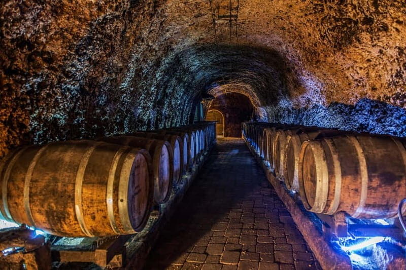 From Bilbao: La Rioja a journey to the vineyards & tradition - What to Bring and What to Know
