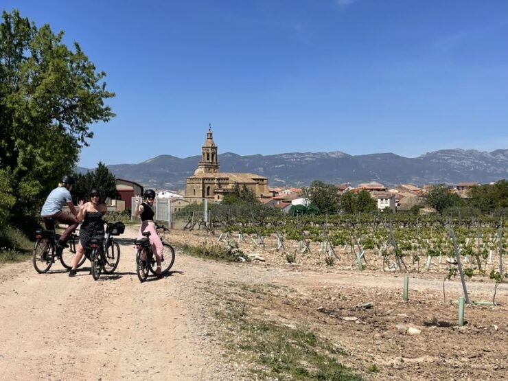 From Bilbao: La Rioja Wine Tour by E-Bike With Wine Tastings - Tour Details