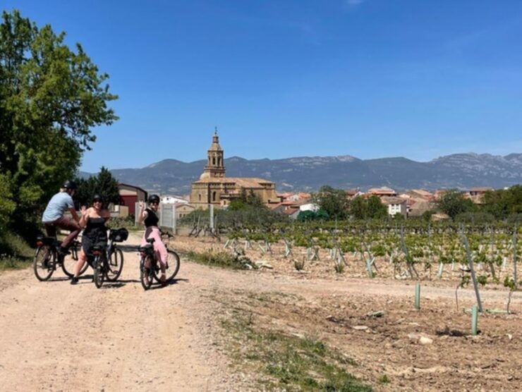 From Bilbao: La Rioja Wine Tour by E-Bike With Wine Tastings - Experience Highlights