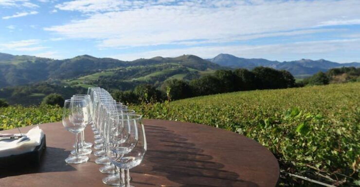 From Bilbao: Private San Sebastian, Pintxo, and Wine Tour - Private Group Experience and Pickup