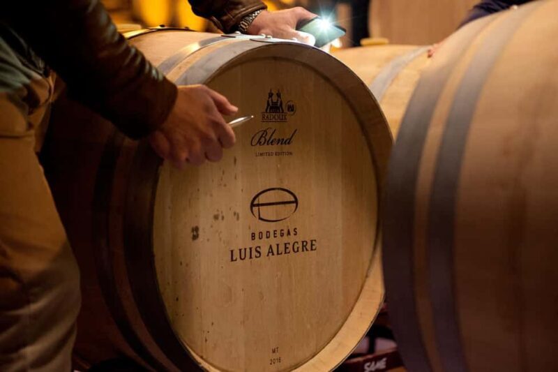 From Bilbao: Private Winery Tour with Wine Tasting & Lunch - From Bilbao: Private Winery Tour with Wine Tasting & Lunch — A Deep Dive