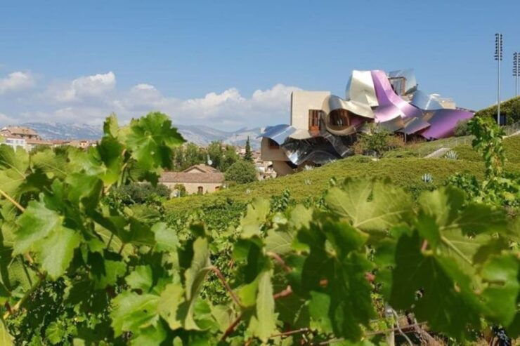 From Bilbao: Rioja Architecture and Wine Tour - Tour Details
