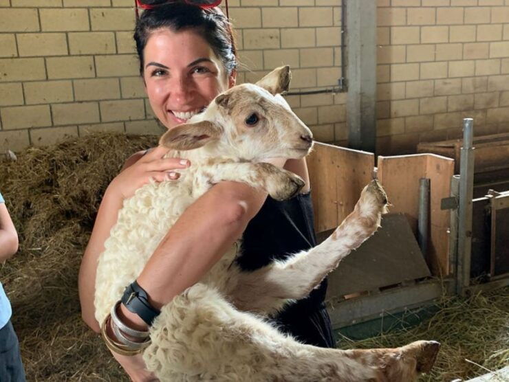 From Bilbao: San Sebastian and Basque Cheese Farm Tour - Inclusion Details