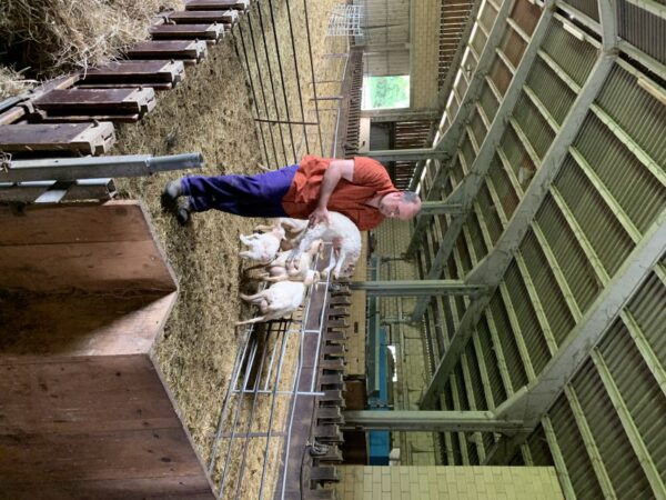 From Bilbao: San Sebastian and Basque Cheese Farm Tour - Scenic Views and Photography