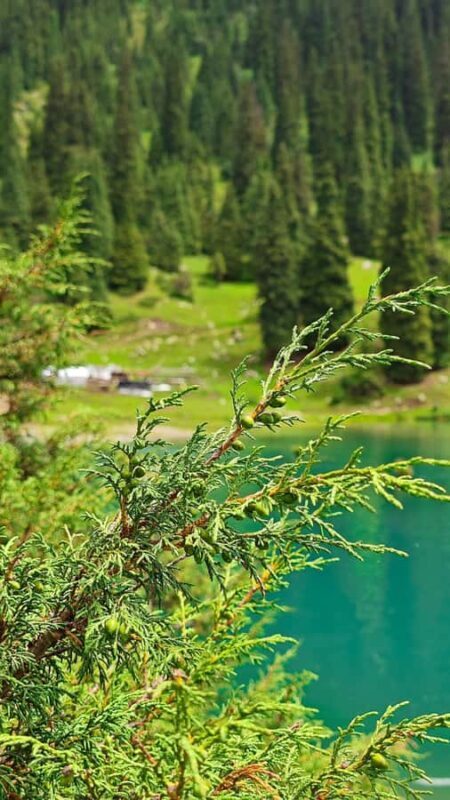 From Bishkek: 3-Day group tour around Issyk-Kul lake - Who Is This Tour Best For?