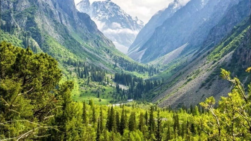 From Bishkek: Half-Day Excursion to Ala-Archa National Park - The Sum Up