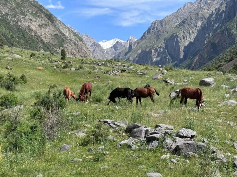 From Bishkek : Sokuluk Gorge & Belogorka Waterfall (One Day) - Exploring Kyrgyzstan’s Natural Wonders: A Review of the Sokuluk Gorge & Belogorka Waterfall Tour