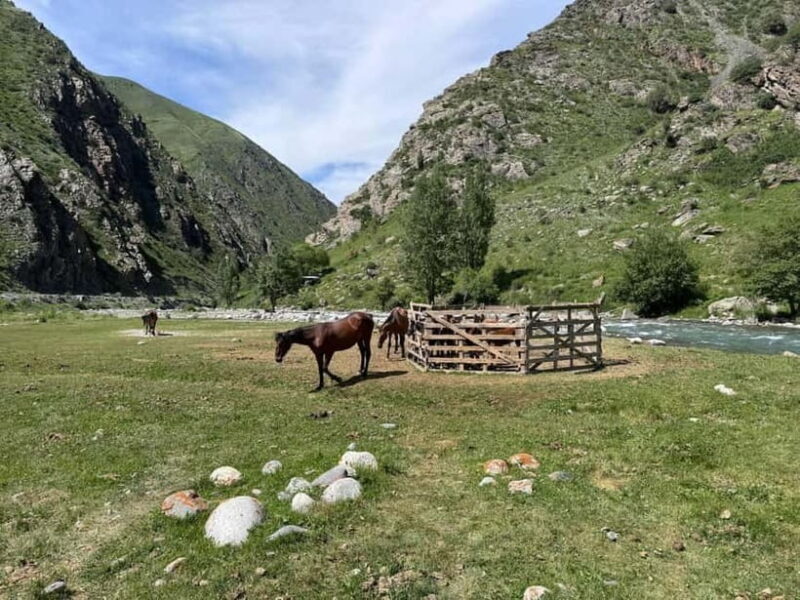 From Bishkek : Sokuluk Gorge & Belogorka Waterfall (One Day) - Authentic Experiences: What Travelers Say