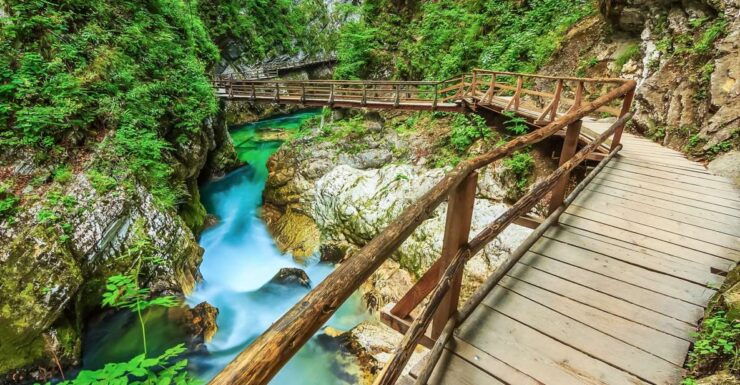 From Bled: Self-Guided E-Bike Tour to Vintgar Gorge - Tour Overview