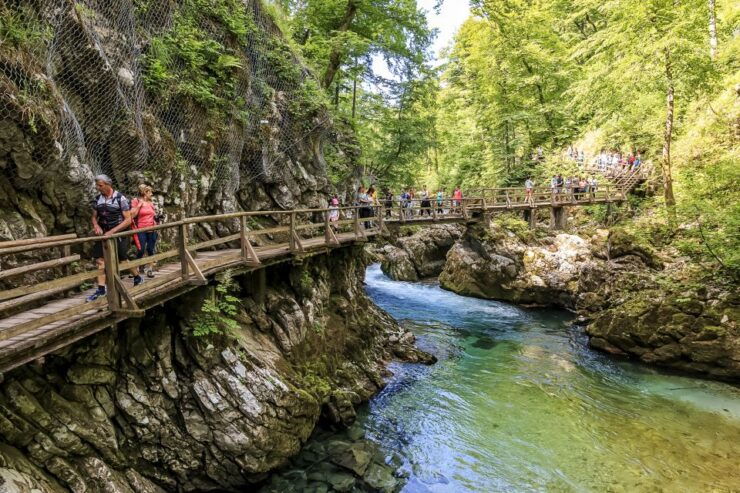 From Bled: Self-Guided E-Bike Tour to Vintgar Gorge - E-Bike Rental Details