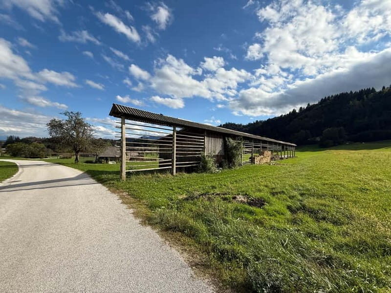 From Bled: Self Guided E-Bike Trip to Triglav National Park - Good To Know