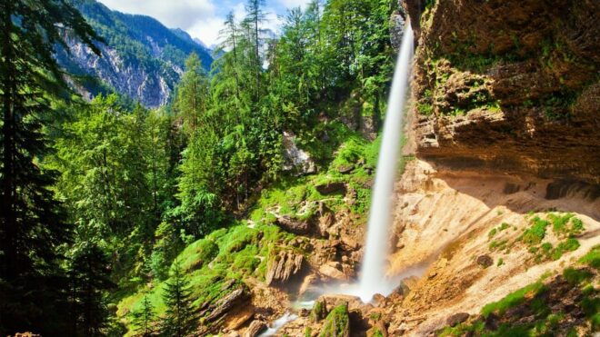 From Bled: Triglav National Park Day Trip - Culinary Experience