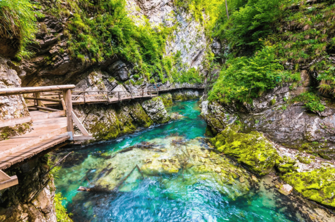 From Bled: Triglav National Park Day Trip - Culinary Delights