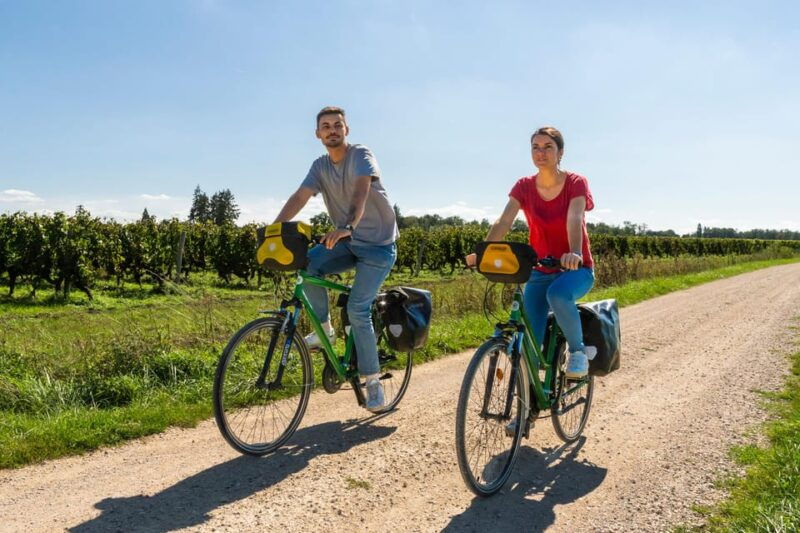 From Blois: Cheverny, Wine Tasting & Cycling - The Itinerary: A Day of Adventure